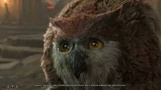 Baby Owlbear encounter at the Goblin Camp | Baldur's Gate 3 Net Worth