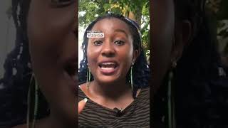 The History of African Languages