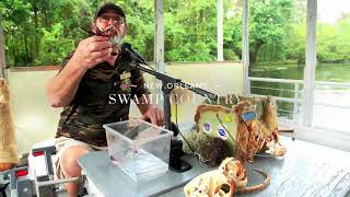 Louisiana’s River Parishes