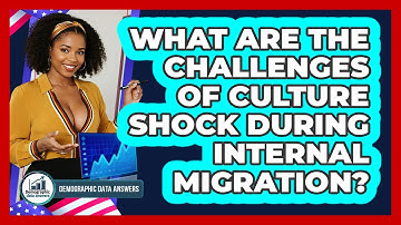 What Are The Challenges Of Culture Shock During Internal Migration? - Demographic Data Answers