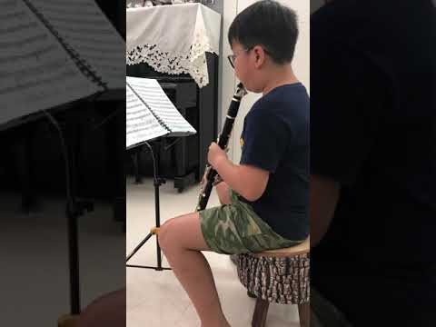 camera iphone 8 plus apk 梅崇一 (Clarinet) 28-6-2019 第三段