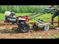 Power Ox & Torsion Spyder Attachment Cultivating Beans - Tilmor Works