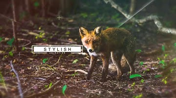 Parallax Slideshow | After Effects Project Files - Videohive template