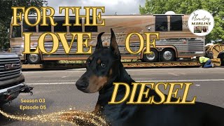 Every Traveler was Obsessed with Diesel Dog & Here's Why    (S03E05) by Traveling Marlins 190 views 3 weeks ago 3 minutes, 12 seconds