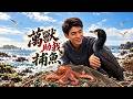 🌊 萬獸相助,海生靠一張漁網把日子翻過來! #短劇 #趕海致富 #八零年代 #漁村故事