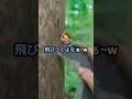 【2ちゃんねる】この川渡りきるだけで5億円←やる？ #2ちゃんねる #shorts