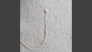 Yama Megumi Feat. Kenji Sato