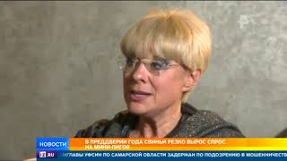 В преддверии года Свиньи резко резко вырос спрос на мини-пигов