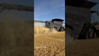 FENDT IDEAL 10T Combine Harvesting Wheat