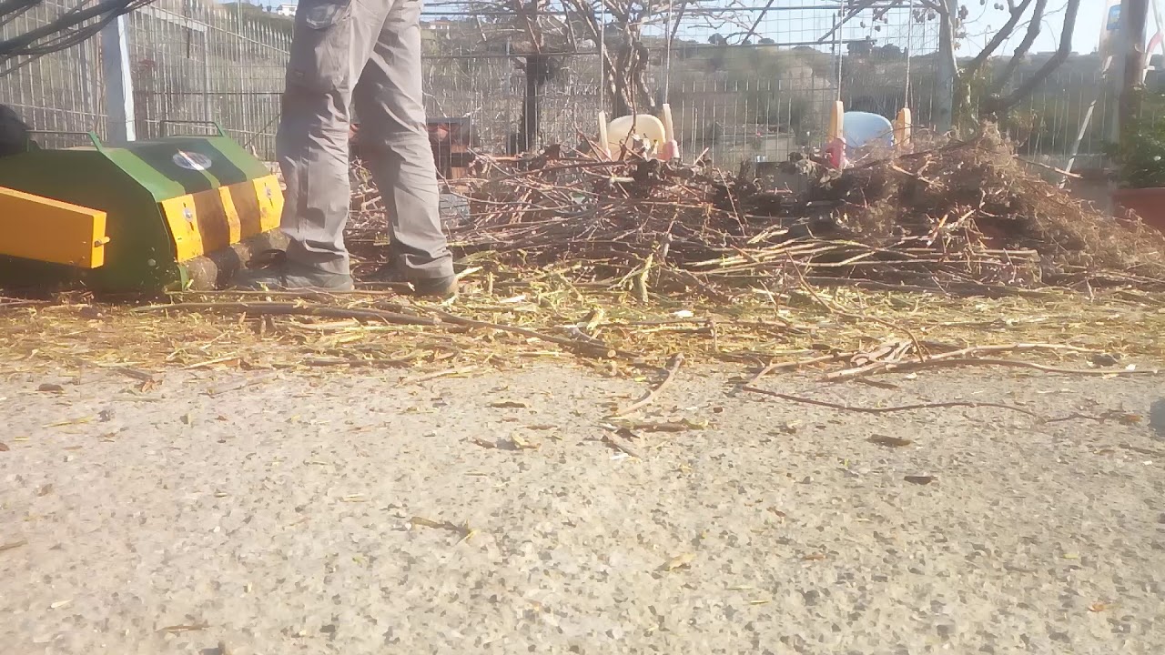 MOTOCOLTIVATORE GOLDONI 124SPECIAL CON TRINCIA CARLI 70 CM