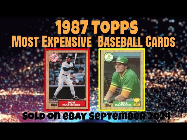 超レア！　1987 TOPPS ハリーとヘンダーソン一家　トレーディングカード 超レア！ 1987 TOPPS ハリーとヘンダーソン一家 トレーディング