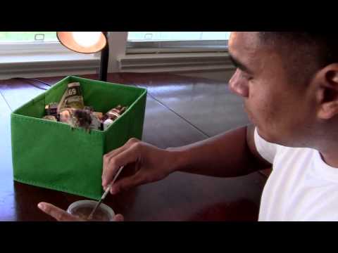 How to care for a baby bird