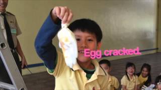 Egg Drop 2014