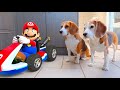🔥 Mario&#39;s Ultimate Kart Adventure - Real Life Animation Fun! 🌈