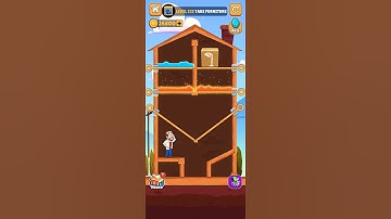 Home pin game Level 225