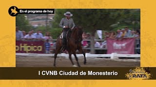 Parada a Raya. Programa 115