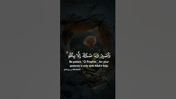 خالد الجليل #الرحمن #اكسبلور /بعض آيات من سورة النحل
