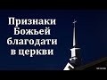 &quot;Признаки Божьей благодати в церкви&quot;. А. В. Попов. МСЦ ЕХБ