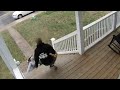 Man Fails at Helping Fiancee Who Slid Down Icy Stairs