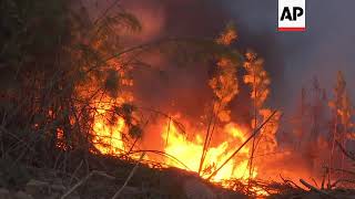 Firefighters battle blaze in town in central Portugal