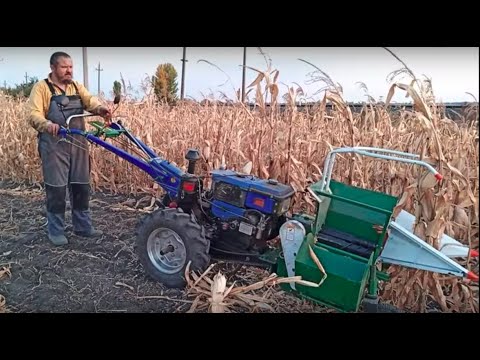 Video: Rem Til Neva Walk-behind Traktoren: Størrelsen På Drivremmen Til 