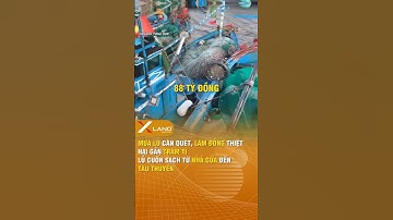 Mưa lũ càn quét, Lâm Đồng thiệt hại gần trăm tỉ, lũ cuốn sạch... #xland #tintuc #lamdong