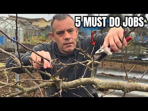 The Tasks That Decide Your Whole Season