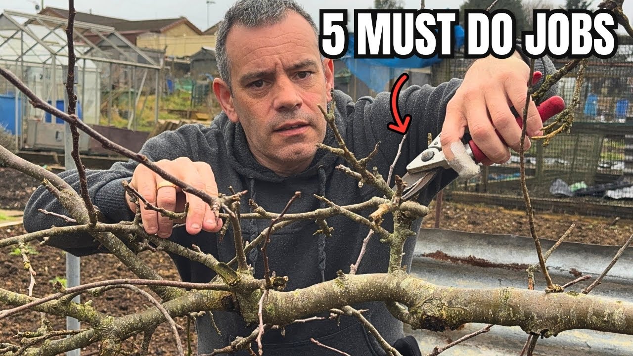 5 садовых работ, которые ни в коем случае нельзя пропускать в этом сезоне.