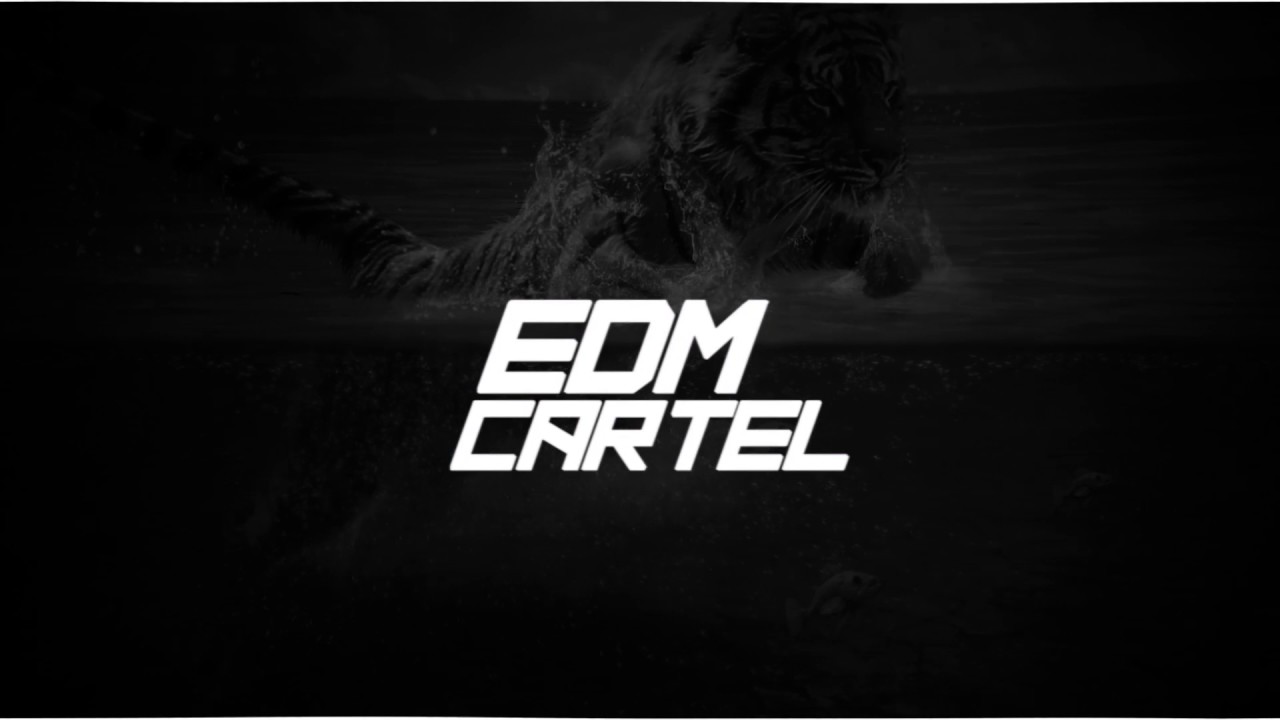 Zaitex - Tiger (JVCKHMR Festival Trap Remix)