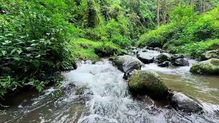 Mindful River Sounds 🌿 Natural Water Ambience for Meditation & Quiet Reflection 🌙