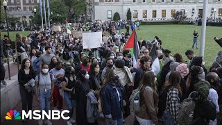 Hundreds arrested as campus protests spread nationwide