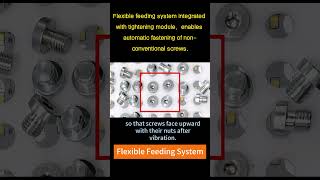 Flexible Feeding System for Automated Assembly Lines