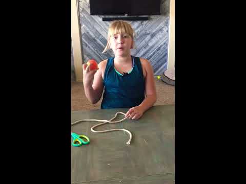 How To Make A DIY Dog Rope And Tennis Ball Toy!