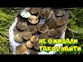 РУКИ ТРЯСЛИСЬ от этих находок!!!