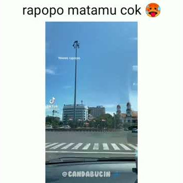 Rapopo matamu