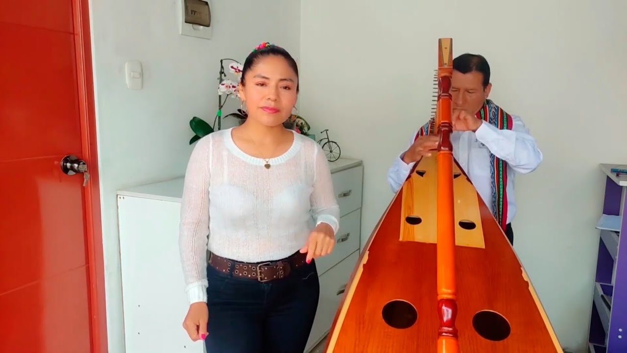 HUAYNO SENTIMENTAL ARPA & VIOLIN / LISBET ALARCON DE SAN PEDRO