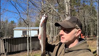 Trout and Tractor Therapy at the Cabin by NB88 9,349 views 1 year ago 19 minutes