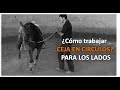 Arrendando caballos  v16 cmo trabajar la ceja en circulos para los lados