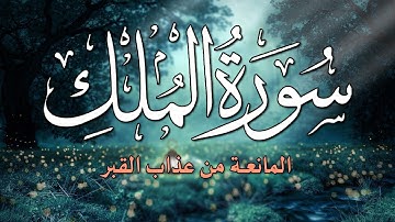 سورة الملك - تبارك - كامله تلاوة تريح القلب 💕 والعقل بصوت القارئ عبد السلام القدار