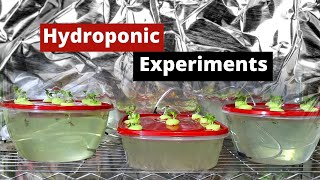 Hydroponic system, The Best for Beginners