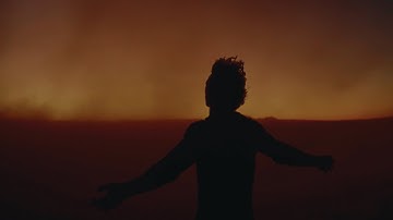 Tony Tacheny - At the End (Official Music Video)