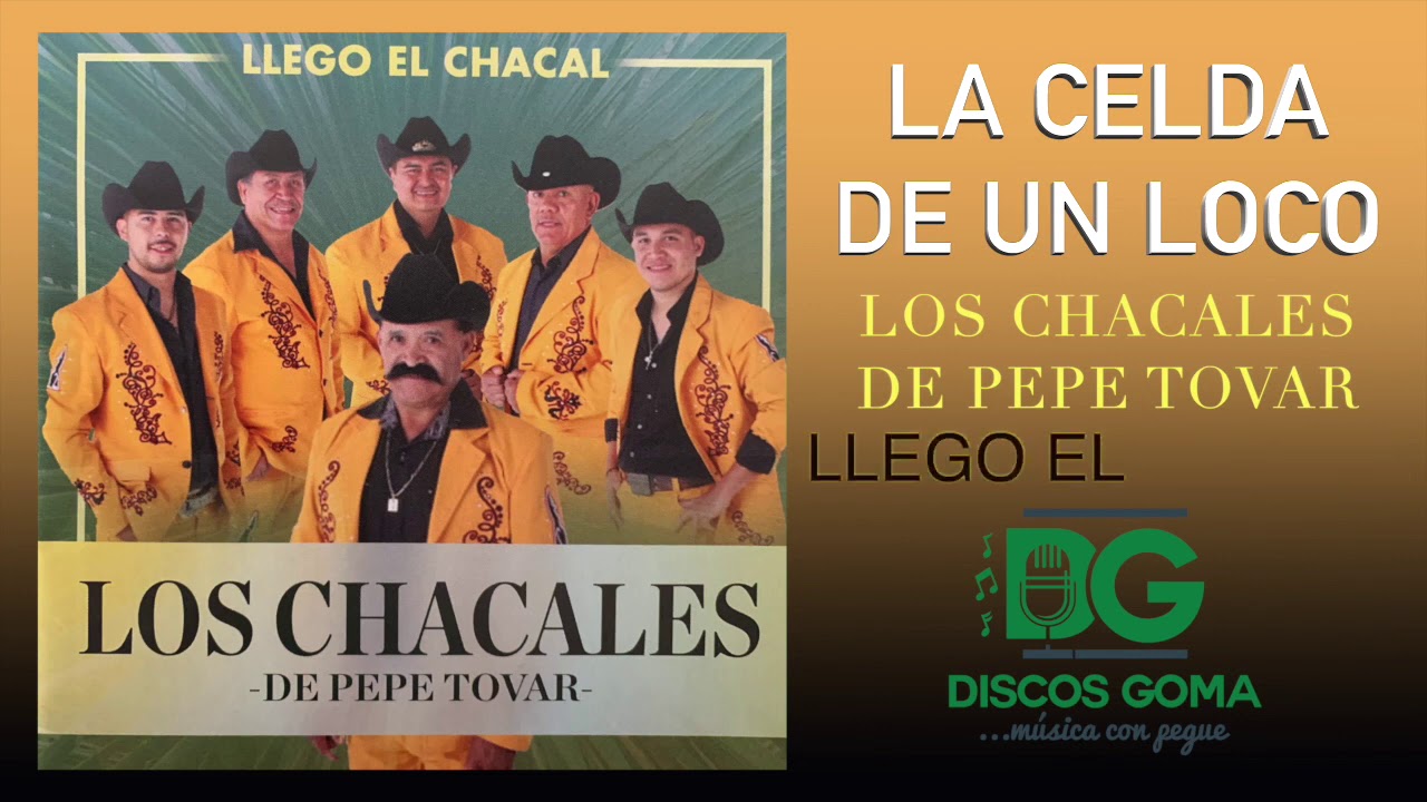 Los Chacales de Pepe Tovar-La Celda de Un Loco [Audio Oficial] - YouTube