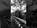 Nature Video Beauty of Nature