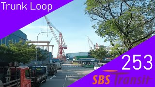 Singapore SBS Transit Trunk Bus Service 253 Route Visual