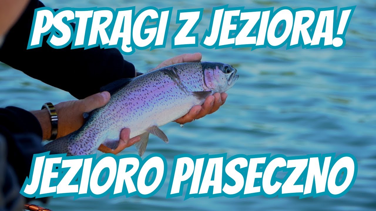 PSTRĄGI Z JEZIORA! | JEZIORO PIASECZNO