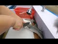 KOREAN SEAFOOD  Amazing live Mullet Cutting Sashimi -  Heunghae Market ##cooking #cuisine #dish