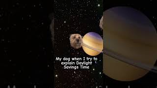 Daylight Savings Time For Dogs 🐶 @Thejessiishow   #Themanniishow.com/Series