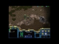 Starcraft Beginner