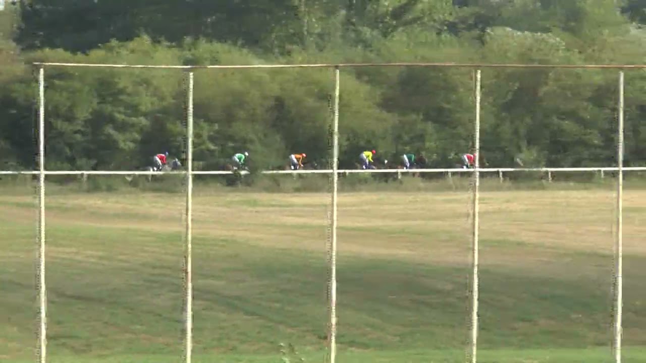 3 trka 1600m (21.07.2024.) DROGBA