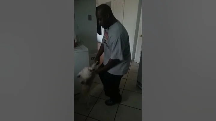 Jah dancing with manny